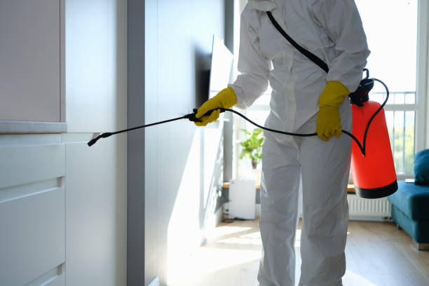 Best Commercial Mold Remediation in Packanack Lake, NJ