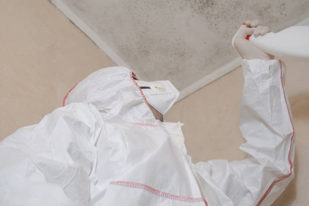 Best Localized Mold Remediation (e.g., coastal areas, humid climates) in Packanack Lake, NJ